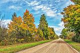 Early Autumn Back Road_P1190107-9